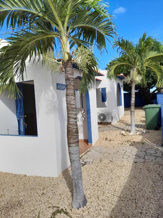 Caribbean Chillout Apartments Kralendijk  Exterior foto