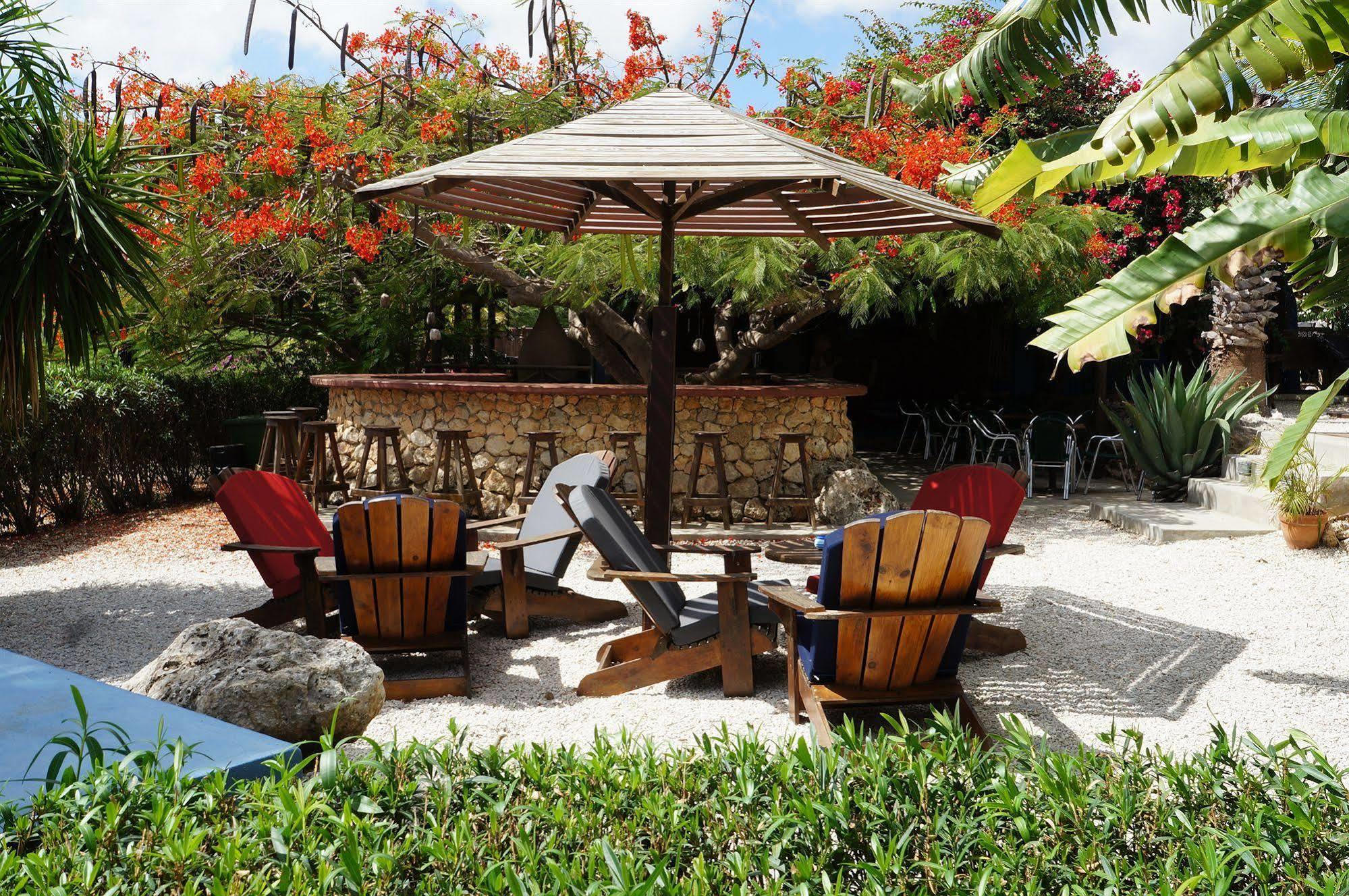 Caribbean Chillout Apartments Kralendijk  Exterior foto