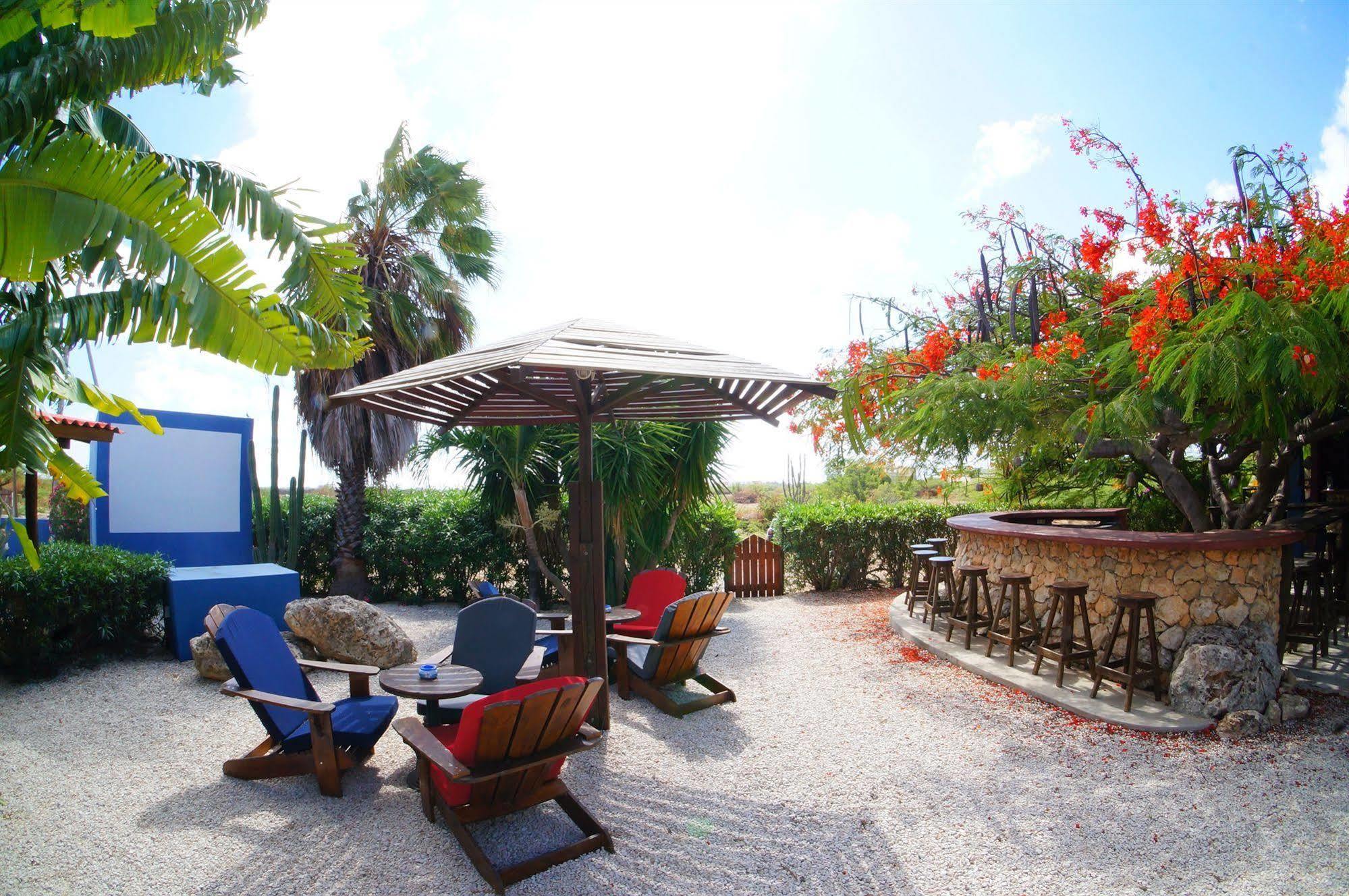 Caribbean Chillout Apartments Kralendijk  Exterior foto