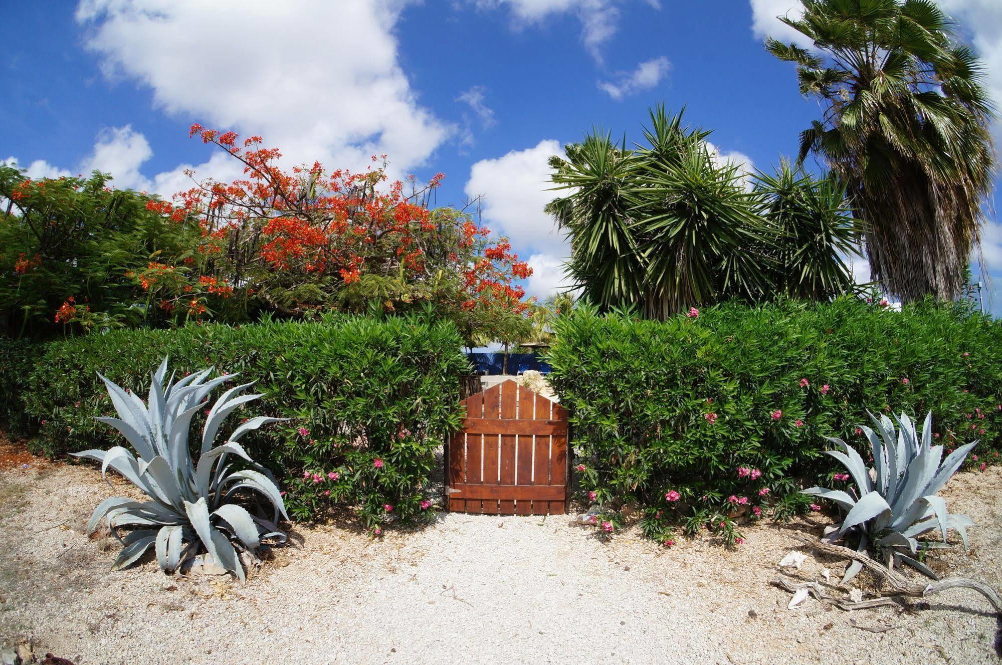 Caribbean Chillout Apartments Kralendijk  Exterior foto
