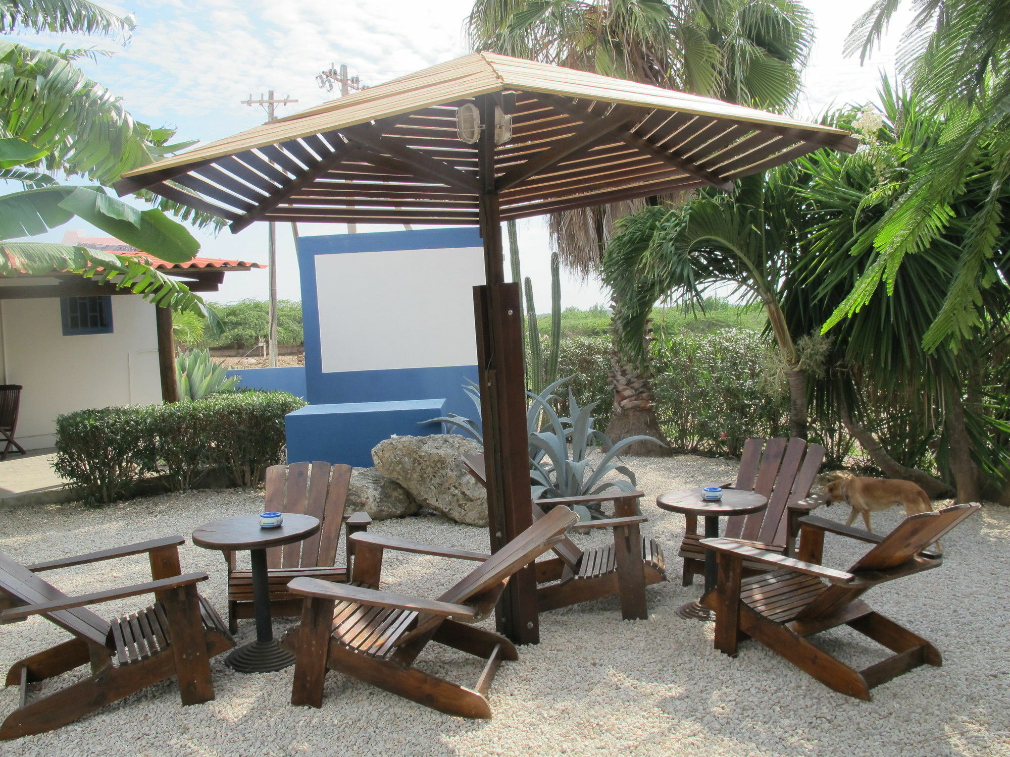 Caribbean Chillout Apartments Kralendijk  Exterior foto