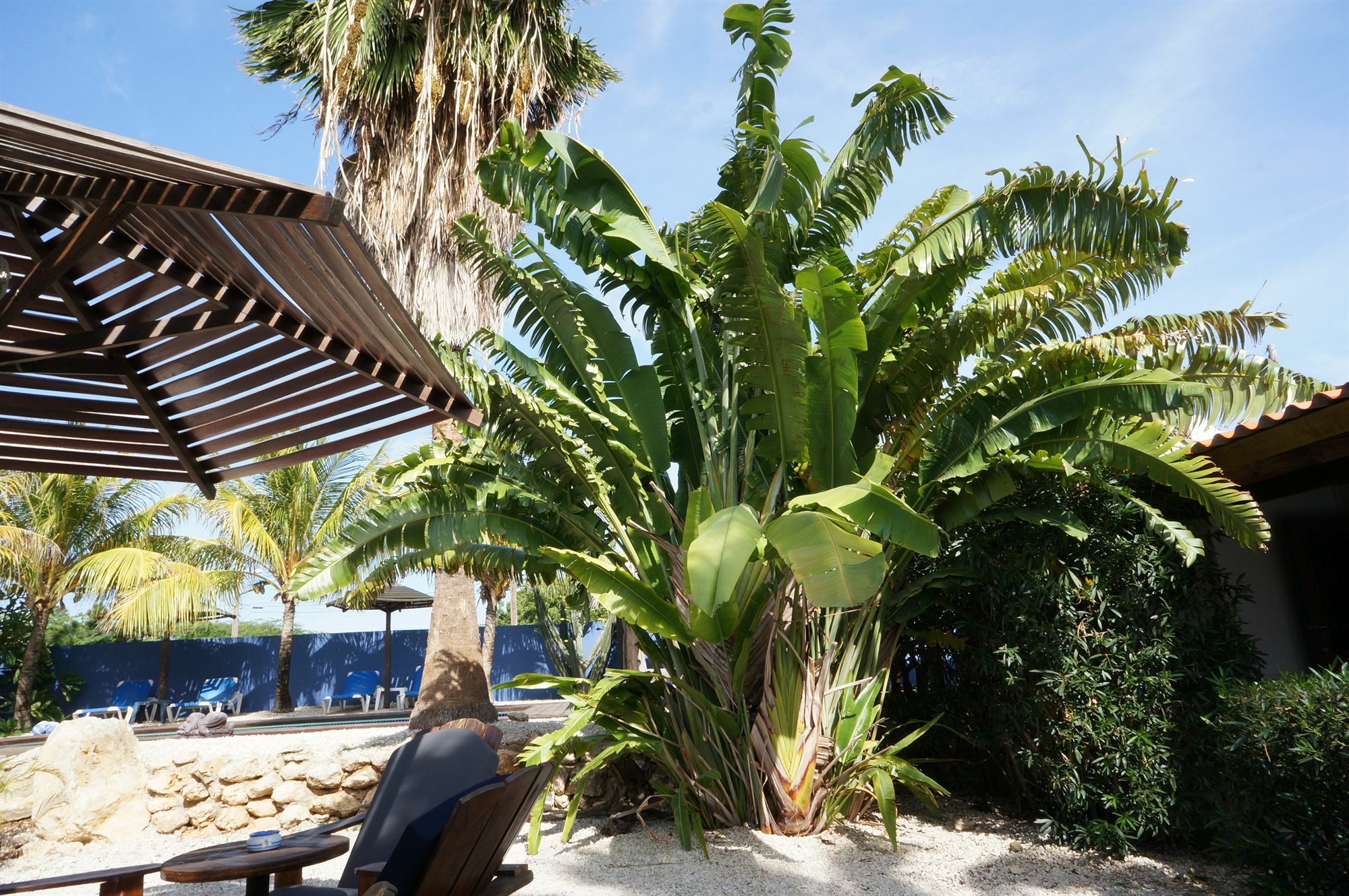 Caribbean Chillout Apartments Kralendijk  Exterior foto